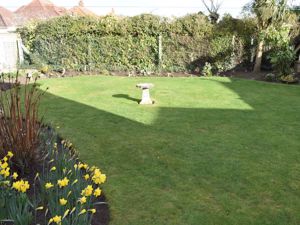 Garden- click for photo gallery